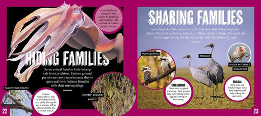 Australian Geographic Discover Animal Families book