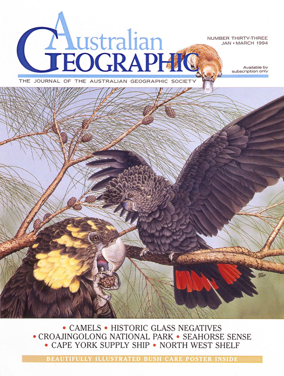 Australian Geographic Issue 033 1994 January - March