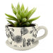 Tea Cup planter
