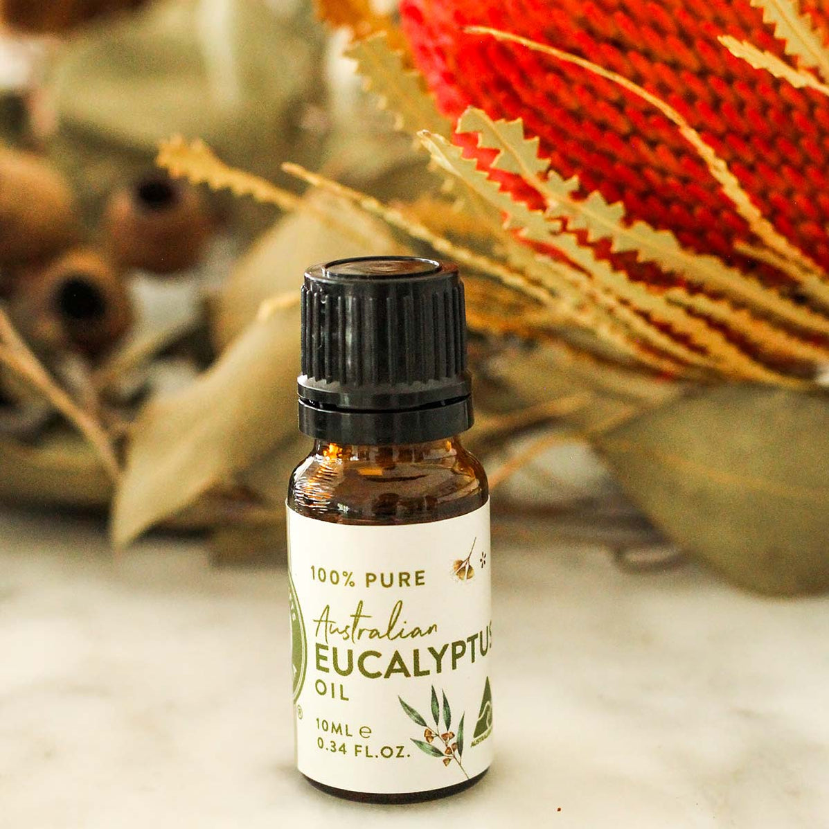 Australian Native Eucalyptus Oil 10ml — Australian Geographic