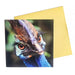Greeting card cassowary