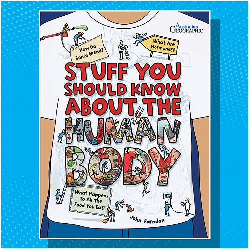 Stuff You Should Know About The Human Body