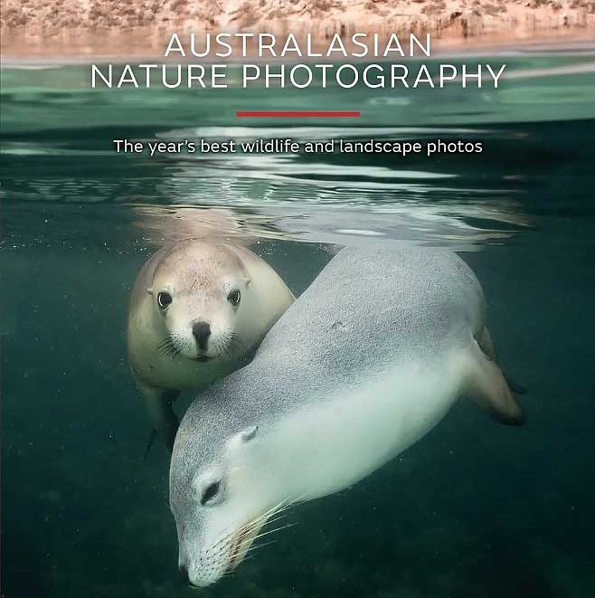 Seal 15th edition