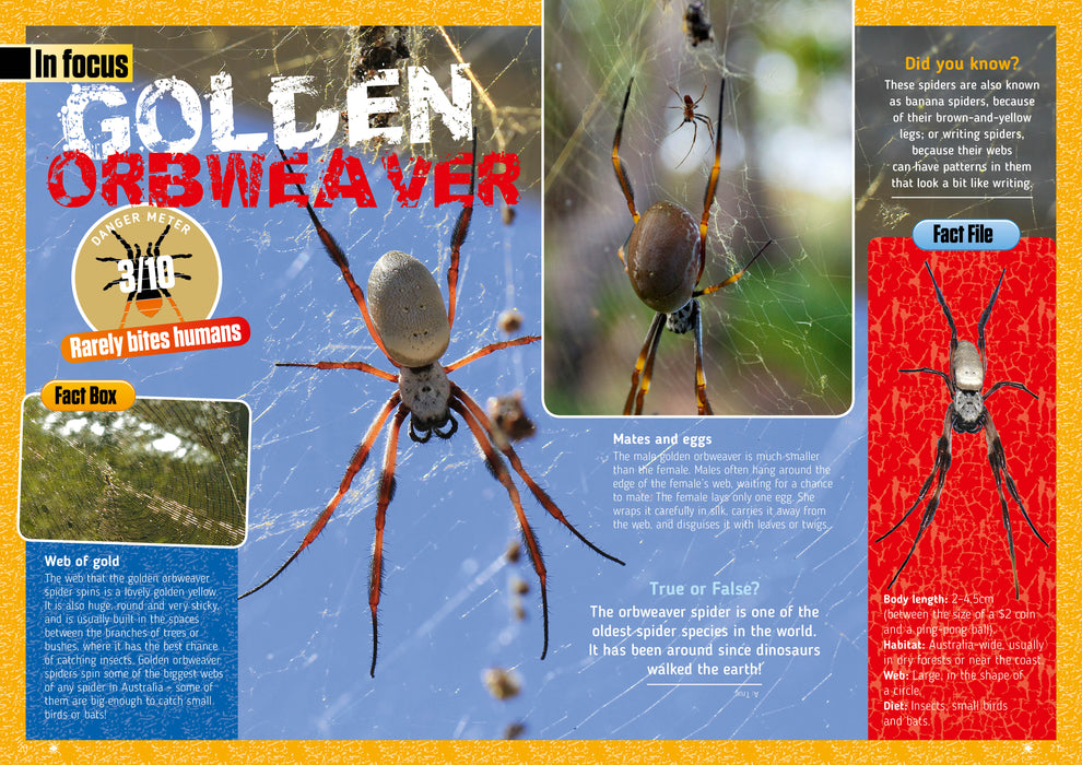 Australian Geographic Up Close Spiders book