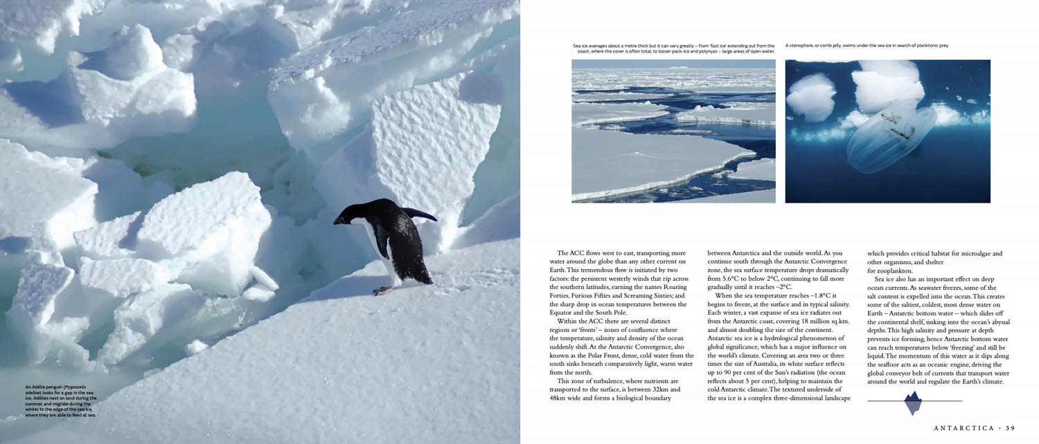 antarctica book nina gallo