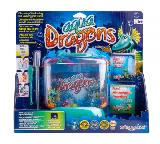 aqua dragons