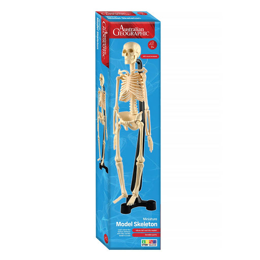 Australian Geographic Mini-Skeleton 46cm